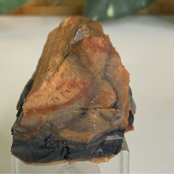 Red Petrified Wood Limb Orange Black Rough Display Specimen 3.3"x1.75" 142g 5oz - Picture 2 of 15
